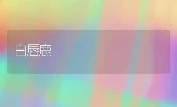 白唇鹿 | 植物科普