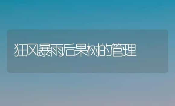 重庆脐橙果实采后商品化处理技术 | 植物科普