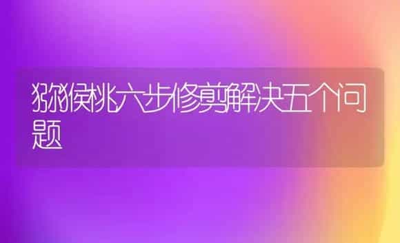 反季节收获大葱效益高 | 植物科普