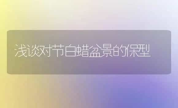 浅谈对节白蜡盆景的保型 | 植物科普