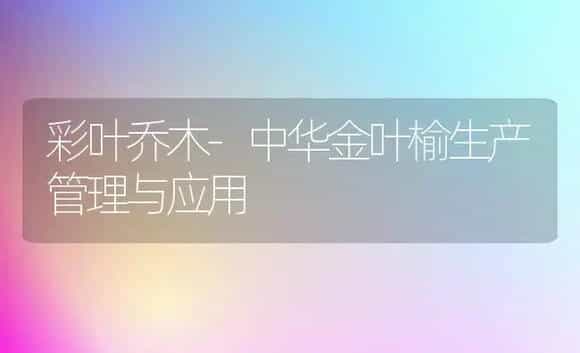 生菜冬季栽培 | 植物科普