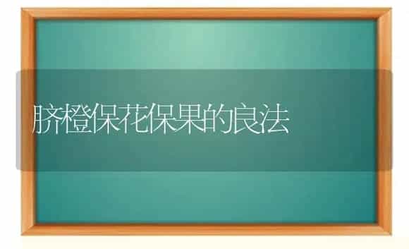 脐橙保花保果的良法 | 植物科普