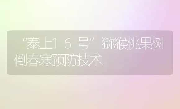 “泰上16号”猕猴桃果树倒春寒预防技术 | 植物百科