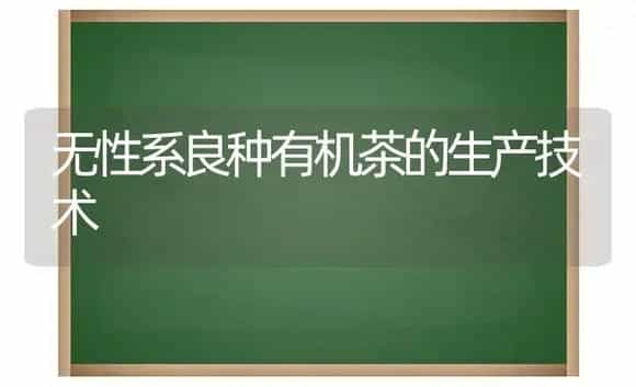 无性系良种有机茶的生产技术 | 植物知识