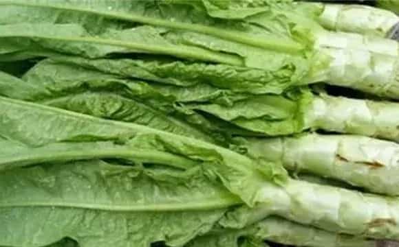 莴苣空心怎么办？防治措施怎么做