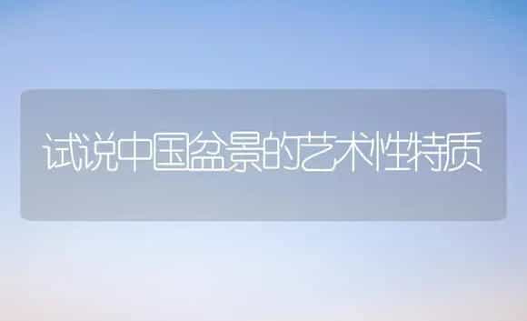 试说中国盆景的艺术性特质 | 植物科普