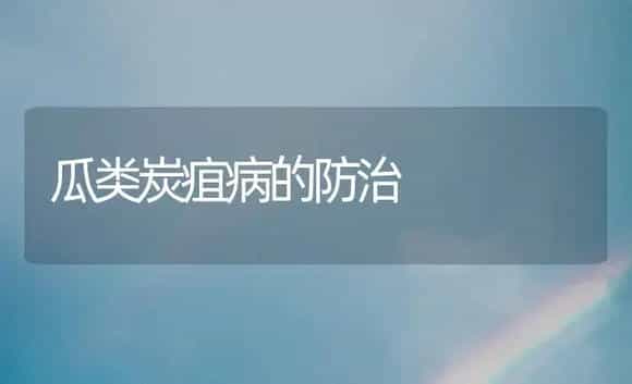生菜水培技术 | 植物科普