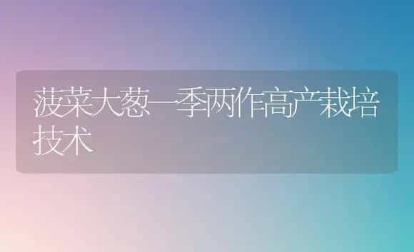 菠菜大葱一季两作高产栽培技术 | 植物科普