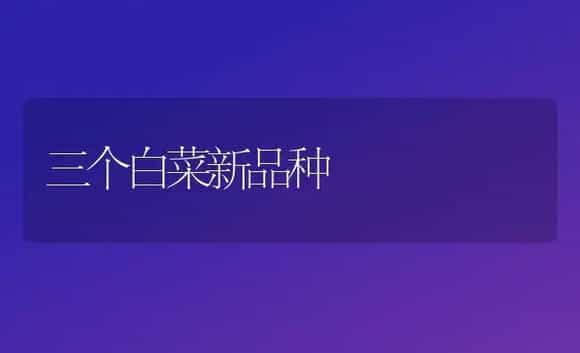 三个白菜新品种 | 植物科普