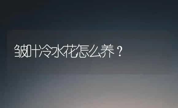 皱叶冷水花怎么养？ | 植物问答