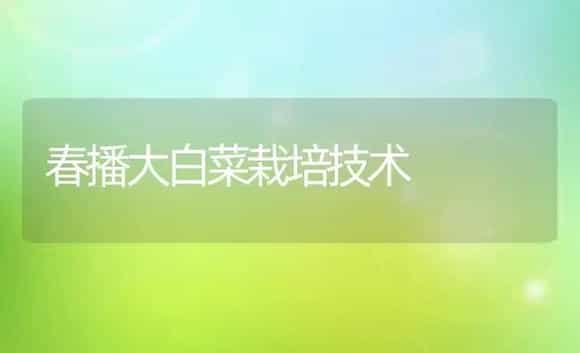 春播大白菜栽培技术 | 植物科普
