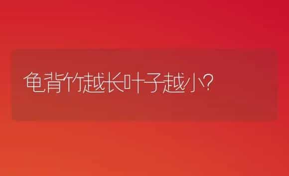 龟背竹越长叶子越小？ | 植物问答