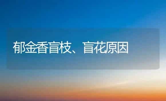 郁金香盲枝、盲花原因 | 植物科普