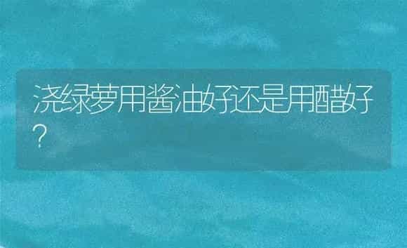 浇绿萝用酱油好还是用醋好? | 植物问答