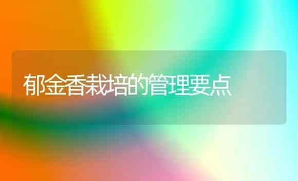 郁金香栽培的管理要点 | 植物科普