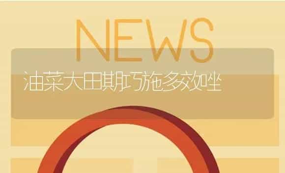 油菜大田期巧施多效唑 | 植物资料