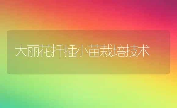 大丽花扦插小苗栽培技术 | 植物科普