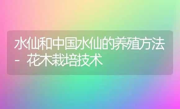 水仙和中国水仙的养殖方法-花木栽培技术 | 植物科普
