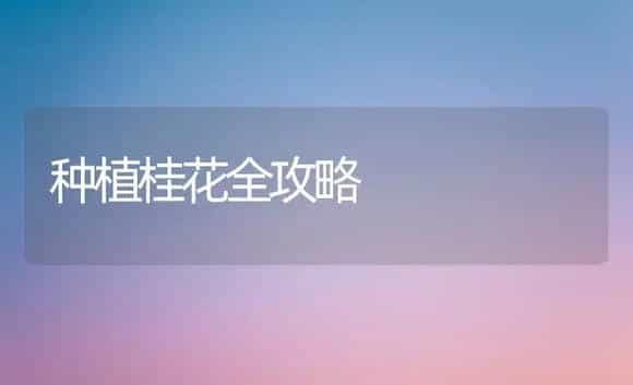 种植桂花全攻略 | 植物科普