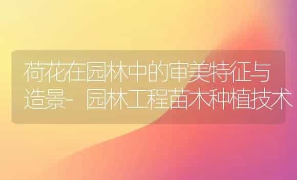 荷花在园林中的审美特征与造景-园林工程苗木种植技术 | 植物科普