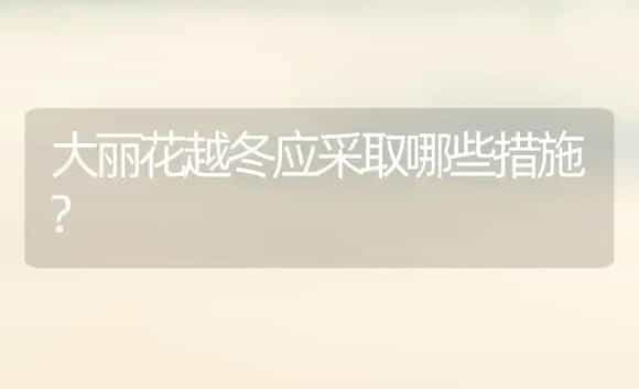 大丽花越冬应采取哪些措施? | 植物科普