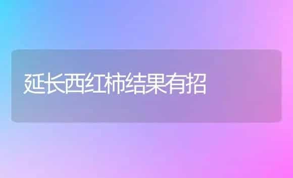玫瑰栽培管理[种植] | 植物科普