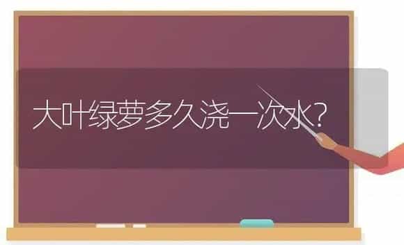 大叶绿萝多久浇一次水？ | 植物问答