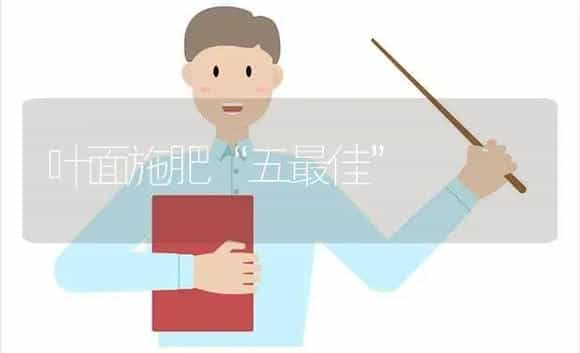 [品种介绍] 木耳对外界条件的要求 | 植物科普
