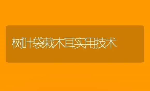 树叶袋栽木耳实用技术 | 植物科普