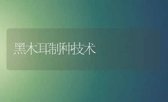 黑木耳制种技术 | 植物科普