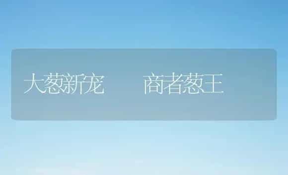 大葱新宠――商者葱王 | 植物科普