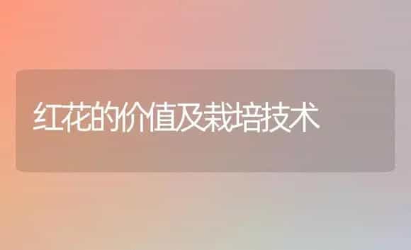 红花的价值及栽培技术 | 植物科普