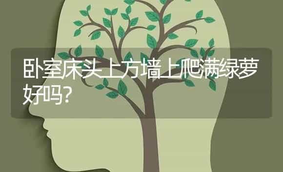 卧室床头上方墙上爬满绿萝好吗? | 植物问答