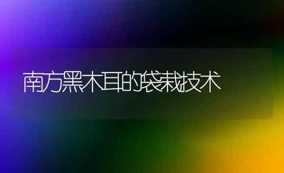 南方黑木耳的袋栽技术 | 植物科普