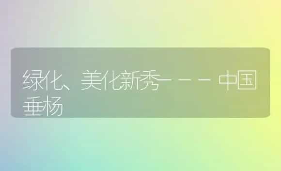 绿化、美化新秀---中国垂杨 | 植物科普