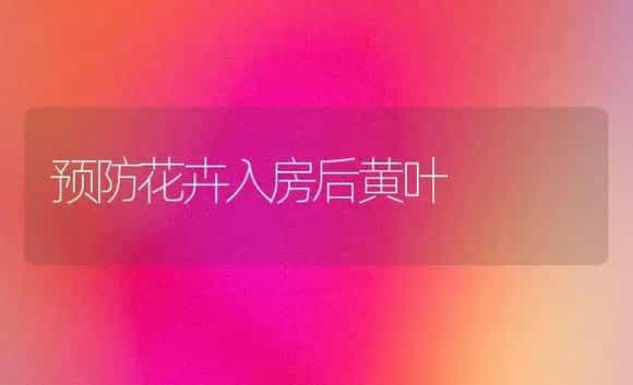 预防花卉入房后黄叶 | 植物知识