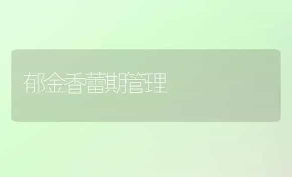 郁金香蕾期管理 | 植物科普
