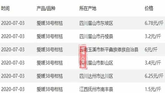 爱媛38号柑桔接穗价格