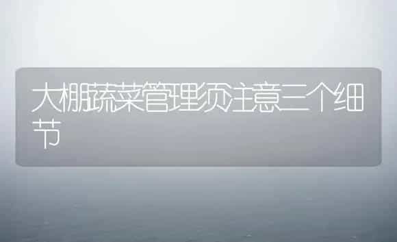 郁金香常规栽培 | 植物科普