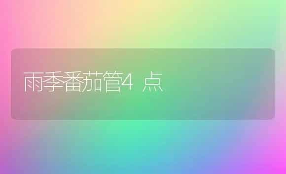 雨季番茄管4点 | 植物科普