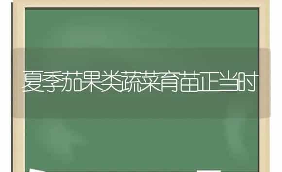 夏季茄果类蔬菜育苗正当时 | 植物科普