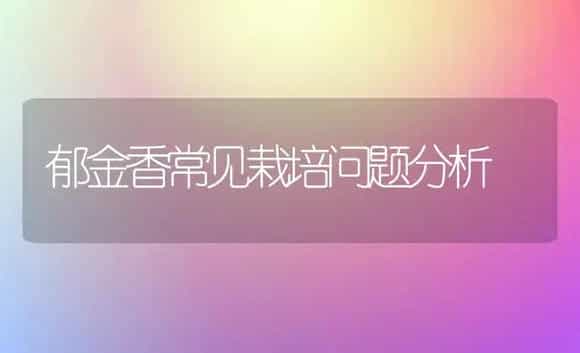郁金香常见栽培问题分析 | 植物科普