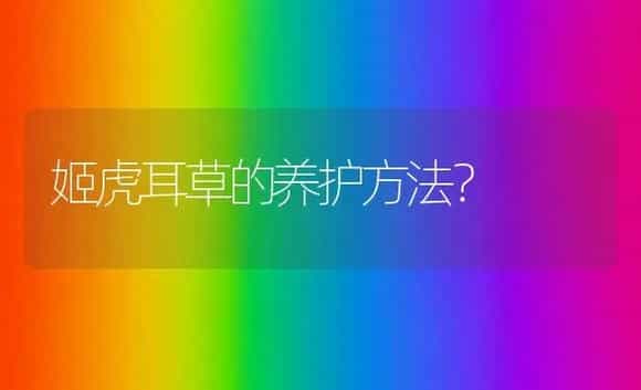 姬虎耳草的养护方法？ | 植物问答