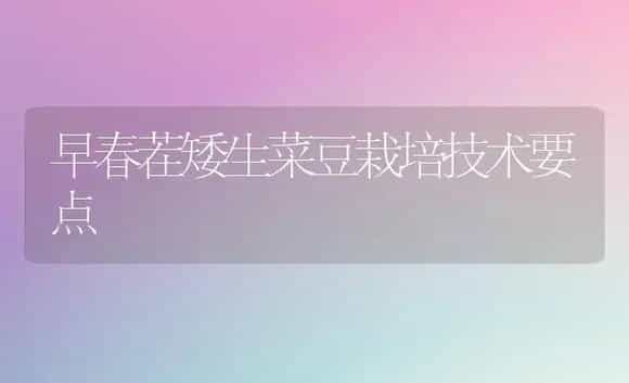 早春茬矮生菜豆栽培技术要点 | 植物科普