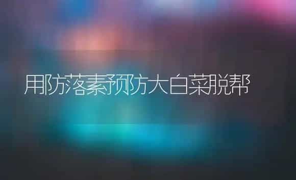 用防落素预防大白菜脱帮 | 植物科普