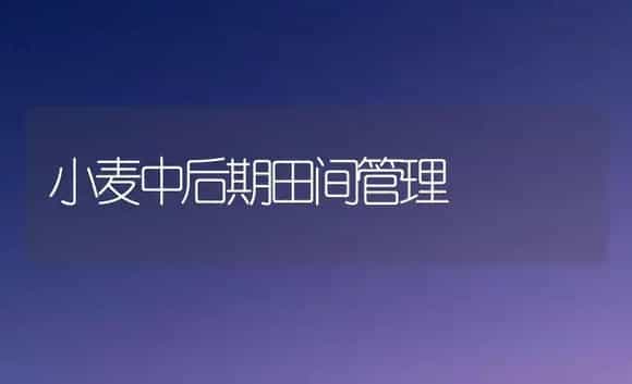 当前脐橙田间管理技术要点 | 植物科普
