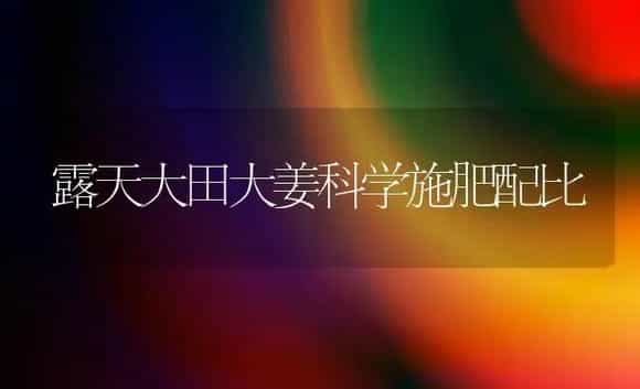 生菜水培管理技术 | 植物科普