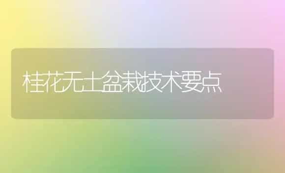 桂花无土盆栽技术要点 | 植物科普