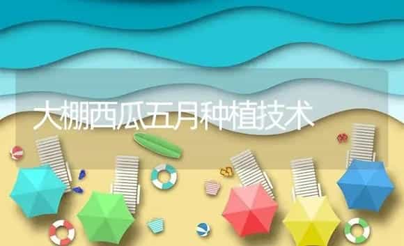 大棚西瓜五月种植技术 | 植物资料