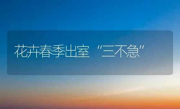 玫瑰栽培管理六要点 | 植物科普